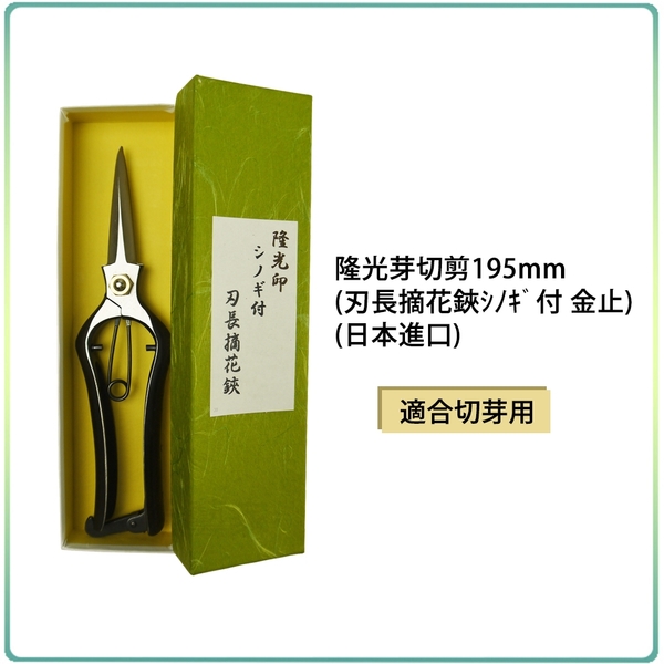 綠藝家 隆光芽切剪195mm 刃長摘花鋏ｼﾉｷﾞ付金止 日本進口 盆栽園藝 Yahoo奇摩購物中心