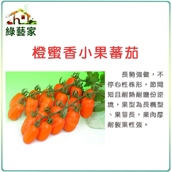 【綠藝家】G73.橙蜜香小蕃茄種子2顆