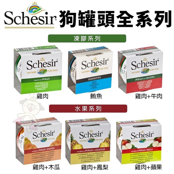 【20罐組】義大利 Schesir 狗罐頭150g 水果罐 凍膠罐 多種口味可選 狗罐頭