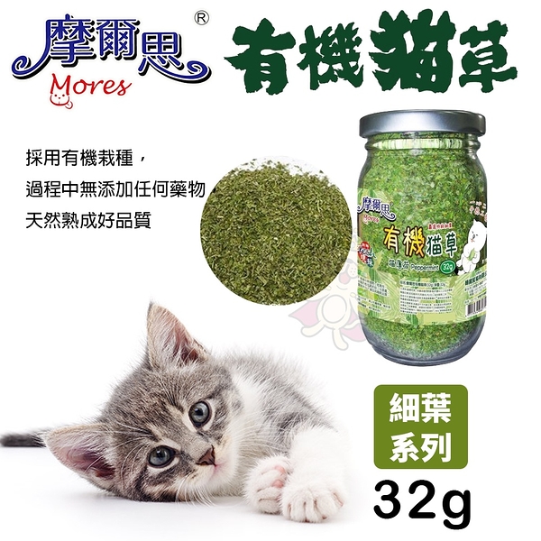 MORES 摩爾思 頂級貓薄荷 有機貓草(細葉)32g 有機栽種 貓草 貓零食『寵喵樂旗艦店』