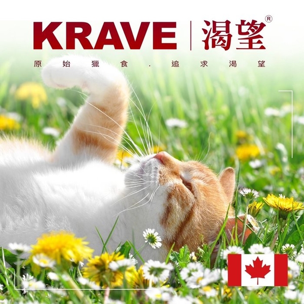 KRAVE 渴望 無穀貓飼料 5.4kg 原野鮮雞 成貓 無榖貓糧 成貓 貓糧 『寵喵樂旗艦店』 product thumbnail 3