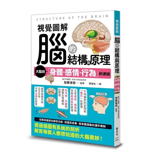 視覺圖解腦的結構與原理 | 拾書所