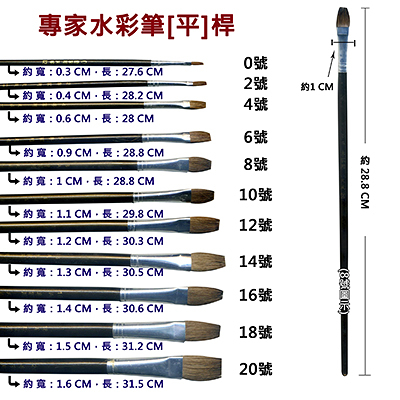 A專家16號水彩筆 平