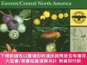 二手書博民逛書店A罕見Field Guide To Edible Wild PlantsY255174 Lee Allen P