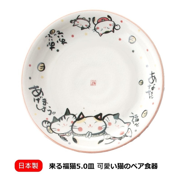 日本製來福貓盤子 中皿 16.8cm 陶瓷盤 料理盤 餐盤 招財貓 日本福貓 日本瓷器 紅色 日本製