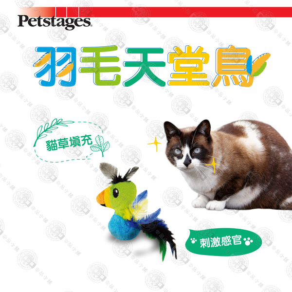 ☆御品小舖☆ 美國 Petstages 90019 羽毛天堂鳥-貓草玩具 寵物貓咪玩具