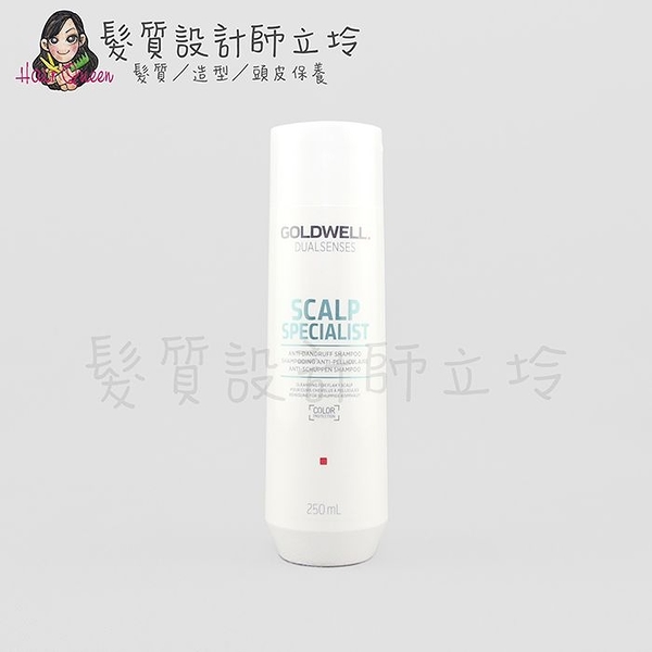 立坽『頭皮調理洗髮精』歌薇公司貨 GOLDWELL 輕感 去屑洗髮精250ml IS04