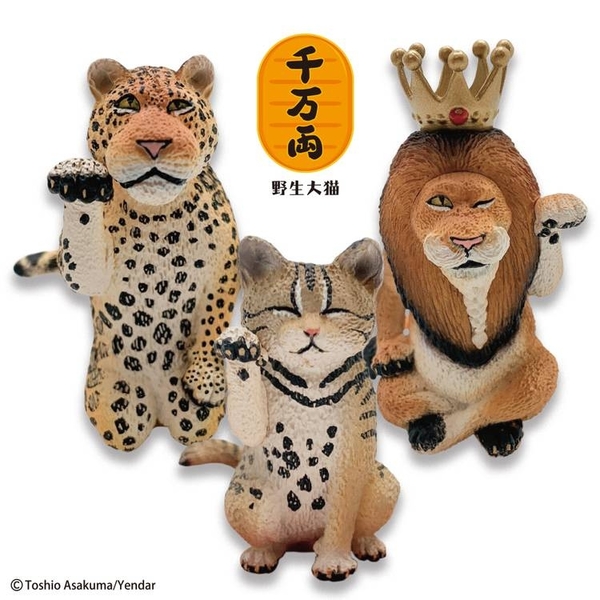 朝隈俊男animal Life 招財野生大貓series Ii 動物公仔第二彈盒玩 金玉堂文具