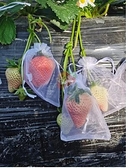 草莓果實套袋水果保護袋防鳥防蟲網袋紗袋透氣番茄無花果藍莓葡萄 快速出貨