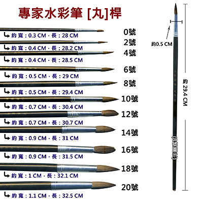 A專家10號水彩筆 丸