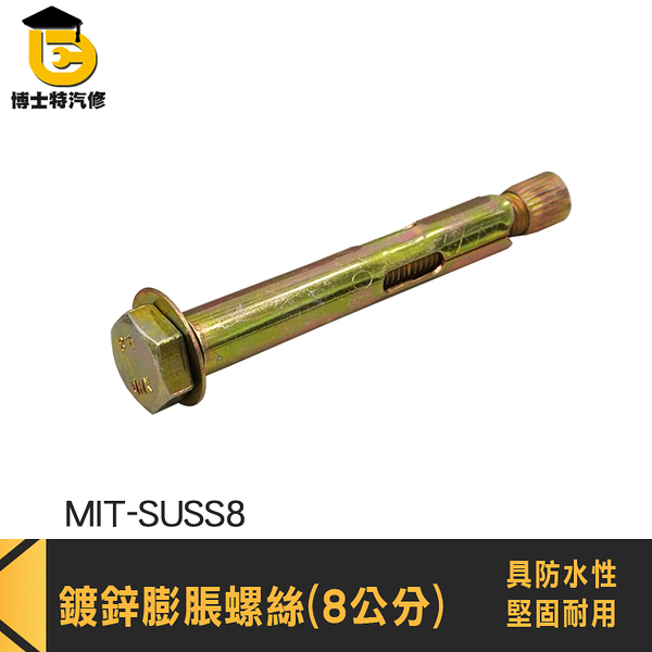 內牙式壁虎 內牙式膨脹螺絲 平頭螺絲 套管壁虎 MIT-SUSS8 膨脹螺絲 鍍鋅螺絲 鍍鋅壁虎 平頭壁虎