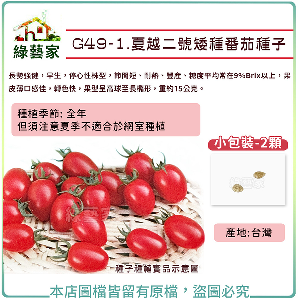 【綠藝家】 G49-1.夏越二號矮種番茄種子2顆 番茄 番茄種子 西紅柿 番柿 小番茄 甘仔蜜