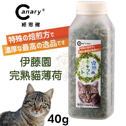 『寵喵樂旗艦店』Canary經思確 伊藤園完熟貓薄荷40g．100%純天然植物纖維．貓薄荷