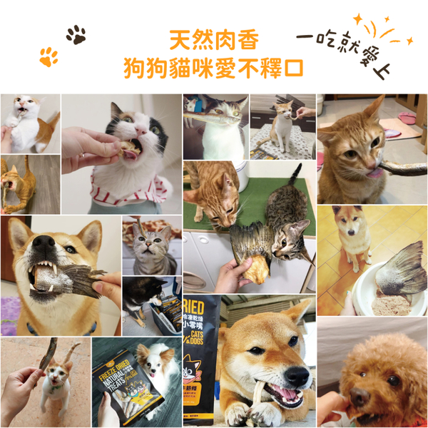 DogCatStar 汪喵星球 冷凍乾燥原肉小零嘴 犬貓零食 罐裝 山味 海味系列 天然原肉零嘴 犬貓包裝罐 product thumbnail 5