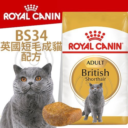 【培菓幸福寵物專營店】FBN 新皇家英國短毛成貓BS34 4KG(可超取)