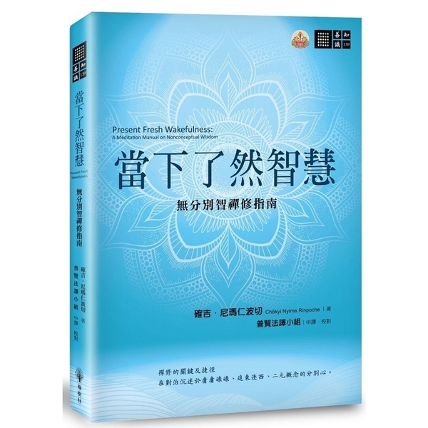 當下了然智慧(無分別智禪修指南) | 拾書所