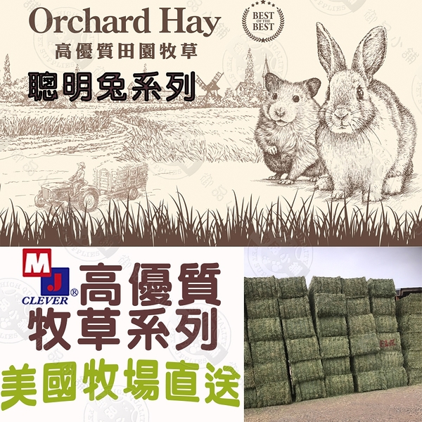 MJ 聰明兔 高優質 牧草系列 提摩西草/甜燕麥草/苜蓿草/果園草 2.7磅/盒 兔子牧草 寵物牧草