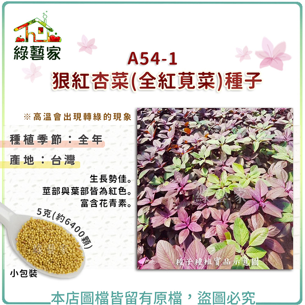 【綠藝家】A54-1.狠紅杏菜(全紅莧菜)種子5克(約6400顆)