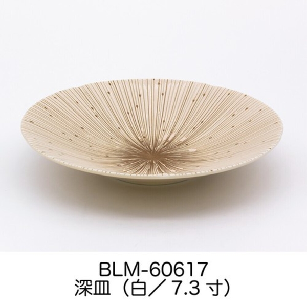 日本製 美濃燒 陶瓷餐盤 千段十草 陶瓷盤 碗盤 深盤 餐盤 菜盤 盤子 陶瓷盤子 沙拉盤 美濃燒 product thumbnail 5