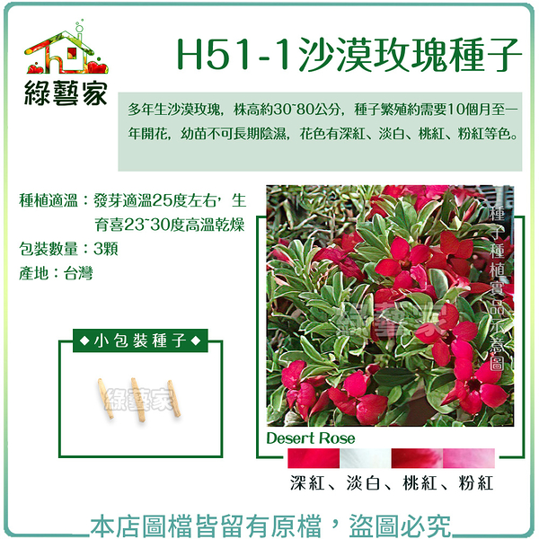 【綠藝家】H51-1.沙漠玫瑰種子3顆