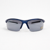 APEX 信通 [C939-BL] 太陽眼鏡 單車墨鏡 護目鏡 抗UV400 運動型 台灣製 藍
