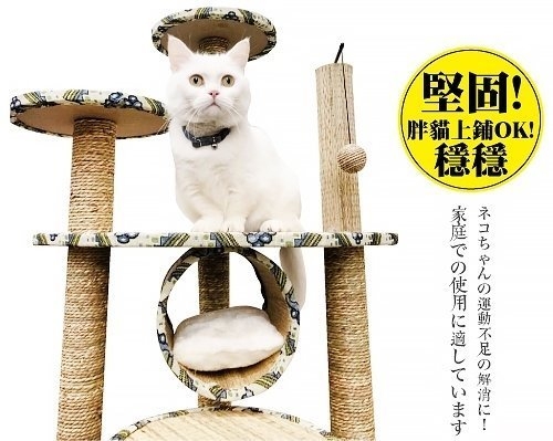 日本寵喵樂- 第五代水草繩貓跳台 不沾毛好清理加厚板子包邊圓床AM510 product thumbnail 2