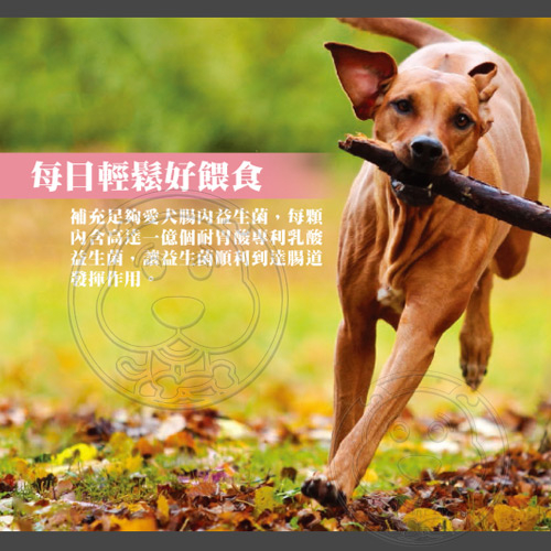 【培菓幸福寵物專營店】保健週活動)PetNaturals 美國寶天然健康犬-腸胃好好60粒 product thumbnail 3