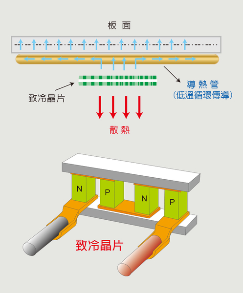 高科技降溫 Beetle L號大冰暖床 夏季降溫5度&冬季自動恆溫 原木床 寵物床 寵物墊 貓狗寵物 product thumbnail 4