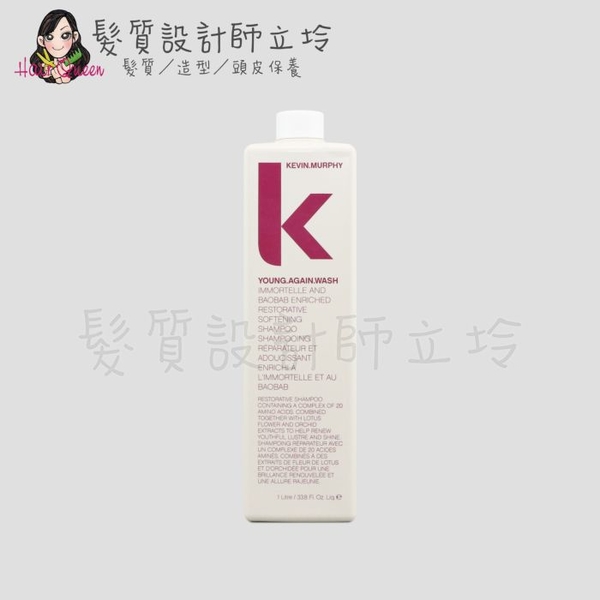 立坽『洗髮精』派力國際公司貨 KEVIN.MURPHY YOUNG.AGAIN.WASH返老還童髮浴1L HH13