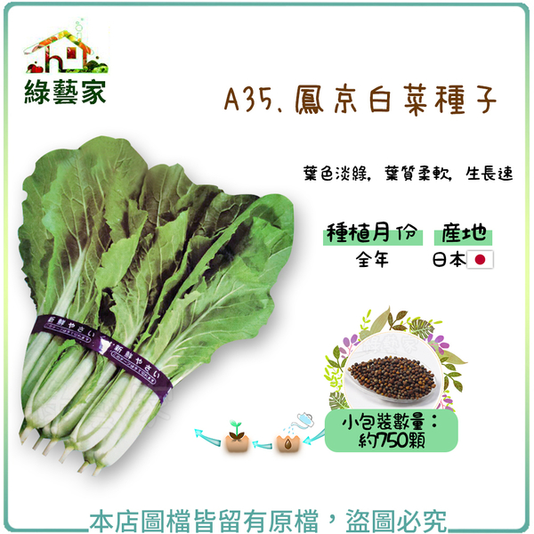【綠藝家】A35.鳳京白菜種子750顆