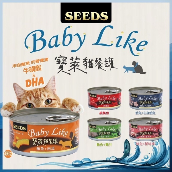 【單罐】SEEDS 惜時 聖萊西 寶萊貓餐罐 170g 豐富DHA 鮮肉罐 貓罐頭『寵喵樂旗艦店』 product thumbnail 4