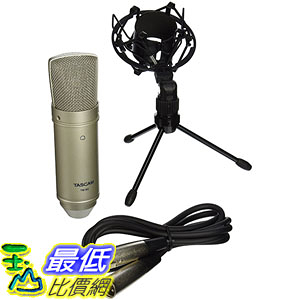 [美國直購] TASCAM TM-80 TM80 麥克風 Condenser Microphone