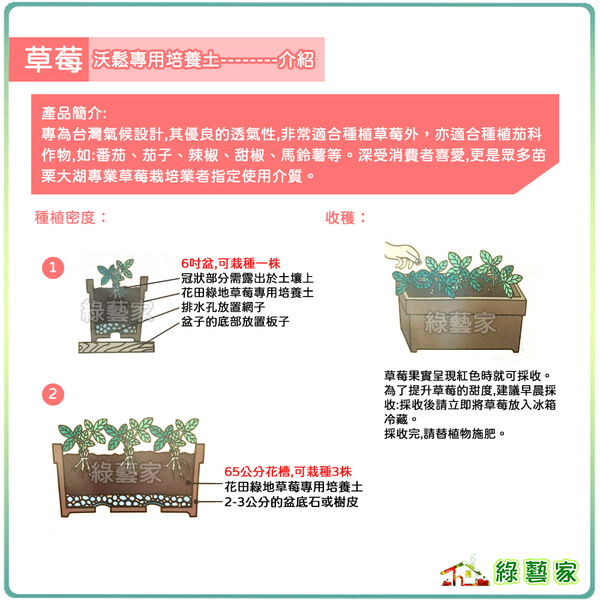 【綠藝家】花田綠地草莓專用培養土4L(沃鬆1號專業栽培介質) product thumbnail 2