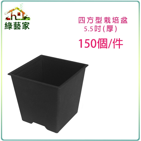 【綠藝家005-D114-BL-2】四方型栽培盆5.5吋-黑色(厚)150個/件