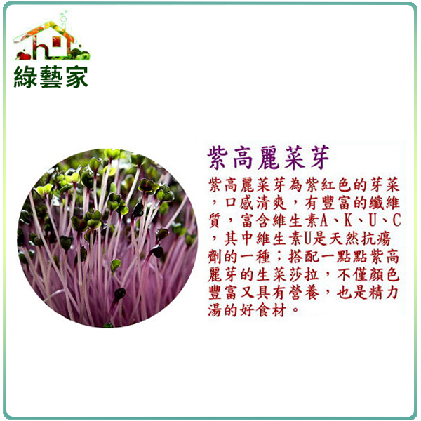【綠藝家】J12.紫高麗菜芽種子(芽菜種子)1000顆