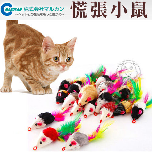 【培菓幸福寵物專營店】日本Marukan《慌張小鼠19+1》逗貓小玩具 CT-241食