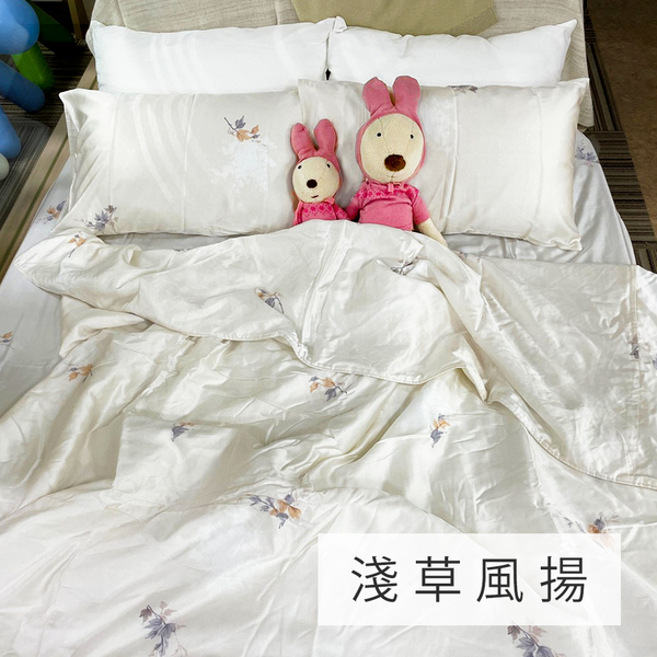 床包兩用被套組 / 雙人【出清天絲-多款可選】含兩件枕套 60支純天絲 戀家小舖台灣製AAU201