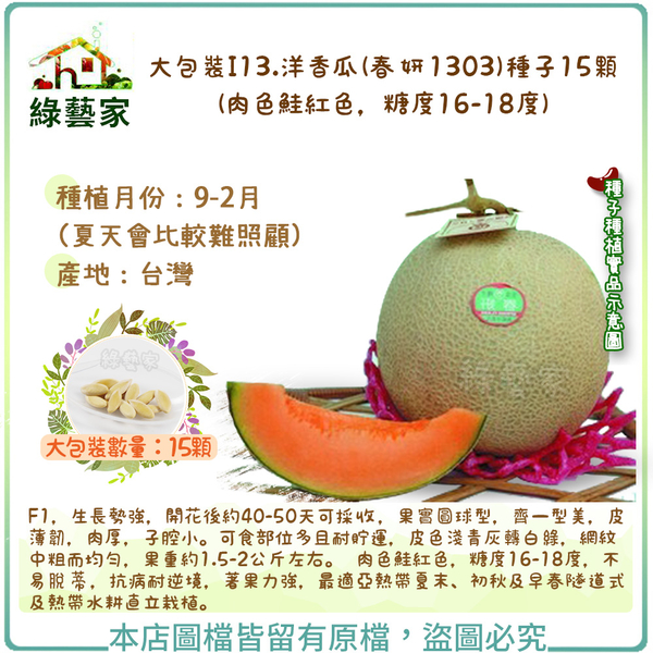 【綠藝家】大包裝I13洋香瓜(春妍 1303)種子15顆 (肉色鮭紅色，糖度16-18度)