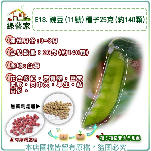 【綠藝家】E18.豌豆(11號)種子25克(約140顆)荷蘭豆
