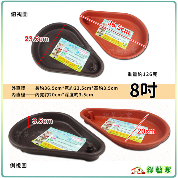 【綠藝家】專利設計自動澆水盤8吋(磚紅色、棕色共兩色) product thumbnail 4
