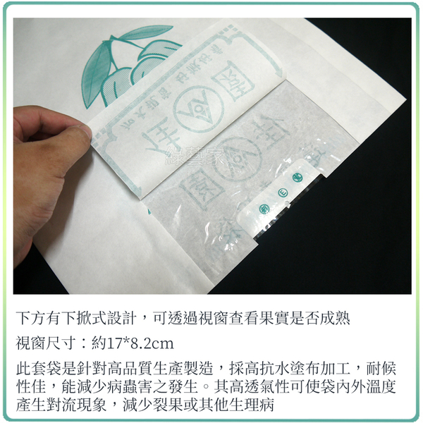 【綠藝家】水果套袋-白色(蓮霧下掀式) 10入/組(37.6cm*32.3cm) product thumbnail 2