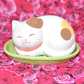 貓咪 陶製除濕器 乾燥器 藥師窯 日本正版 可重複循環再利用 環保天然