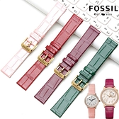 化石Fossil手錶帶女真皮錶鍊頭層牛皮針扣12 14 16mm薄款皮帶配件