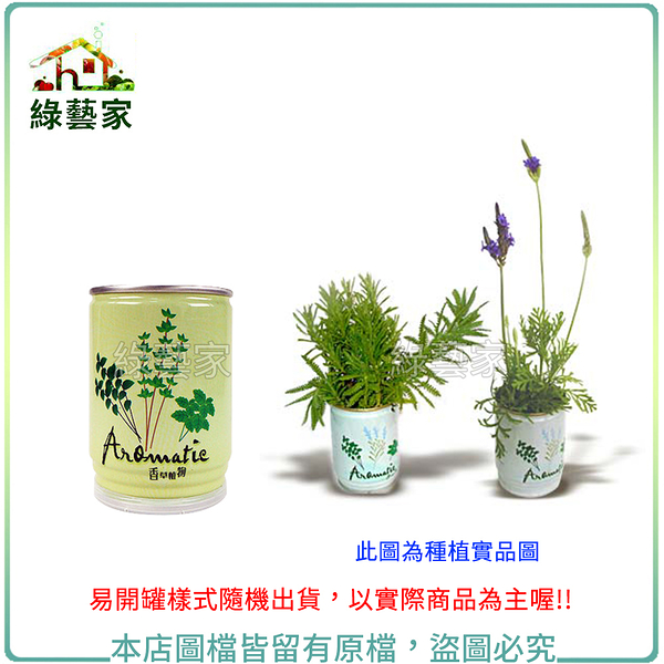 【綠藝家004-E00-1】iPlant易開罐花卉-薰衣草2入/組(2入優惠價-單罐85元)