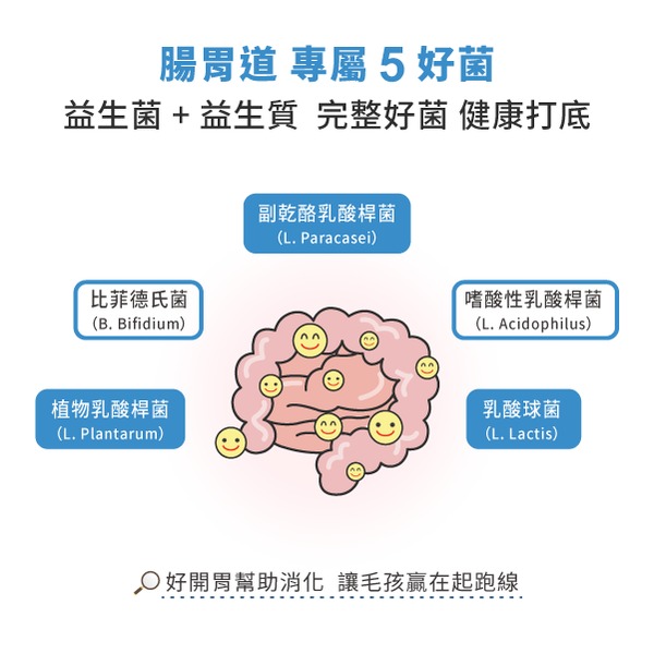 星巴哈尼 寵物保健第一品牌全商品 寵物益生菌 狗狗專用（消化好好不臭臭）『寵喵樂旗艦店』 product thumbnail 5