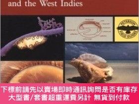 二手書博民逛書店A罕見Field Guide To Shells Of The Atlantic And Gulf Coasts