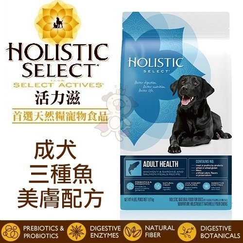 『寵喵樂旗艦店』Holistic select 活力滋 成犬《雞肉│羊肉│三種魚 配方》4磅 狗飼料 product thumbnail 2