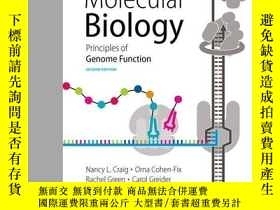 全新書博民逛書店MolecularBiology: Principles Of Genome Function-分子生物學：基因組
