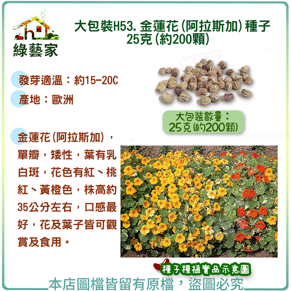【綠藝家】大包裝H53.金蓮花(阿拉斯加)種子25克(約200顆)