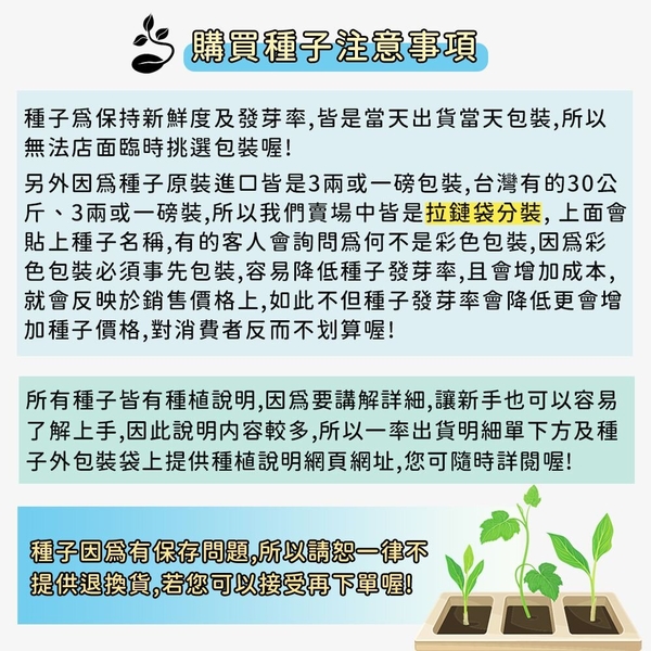 【綠藝家】B24-1.清華二號青花菜種子0.18克(約25顆)青花椰菜 早生，直立，花球豐圓，緊密微凸 product thumbnail 4